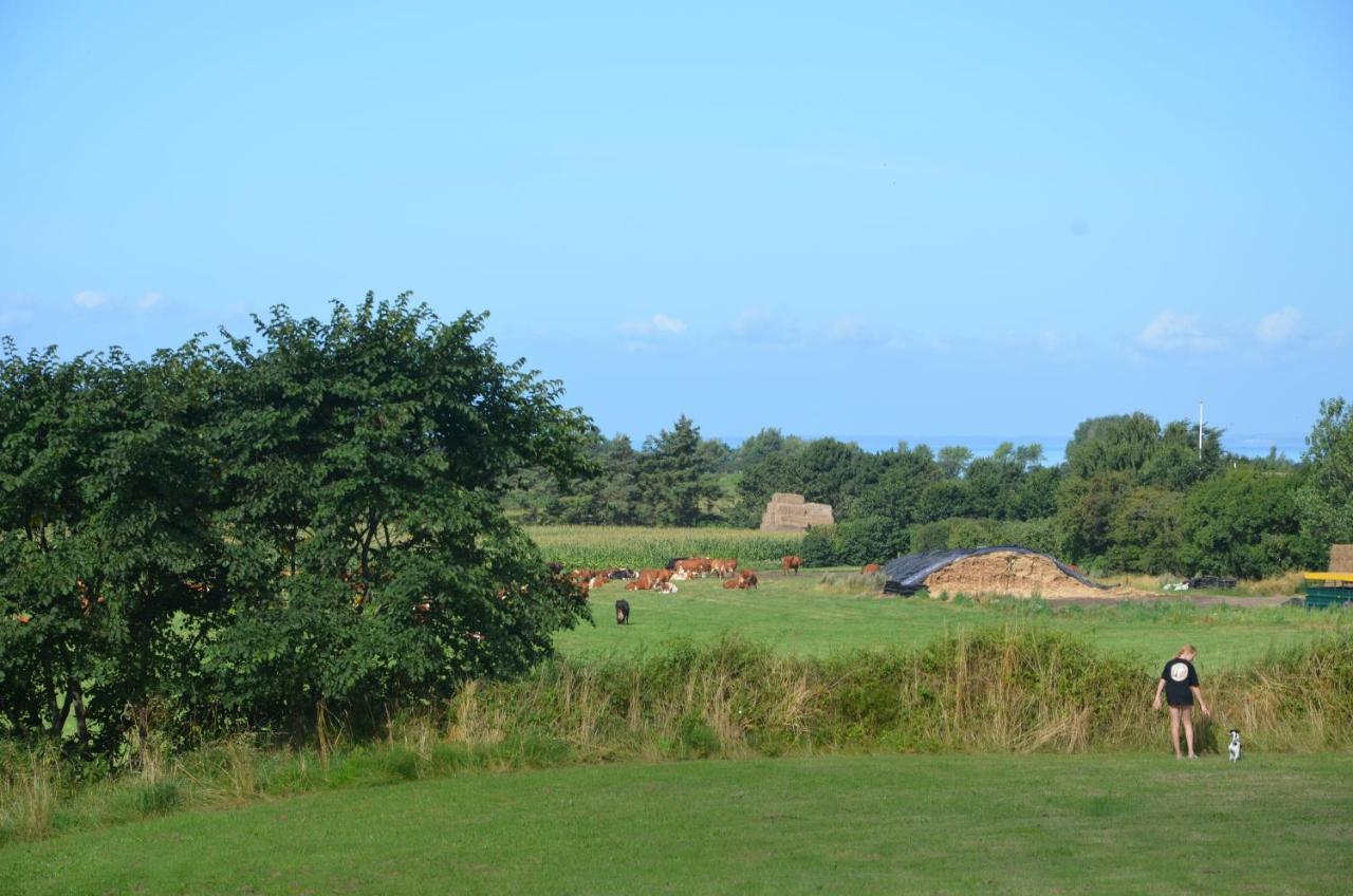 Camping & Feriecenter Samso Kolby Exteriör bild
